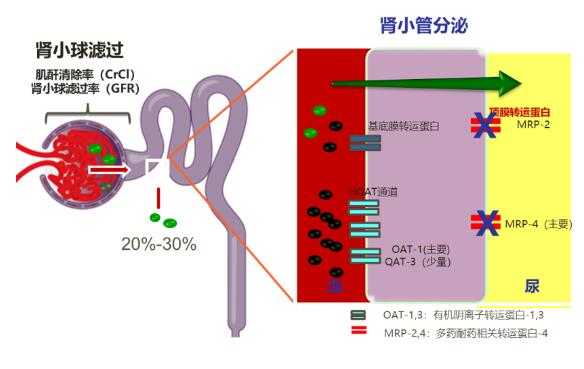 QQ截图20220624222615.jpg