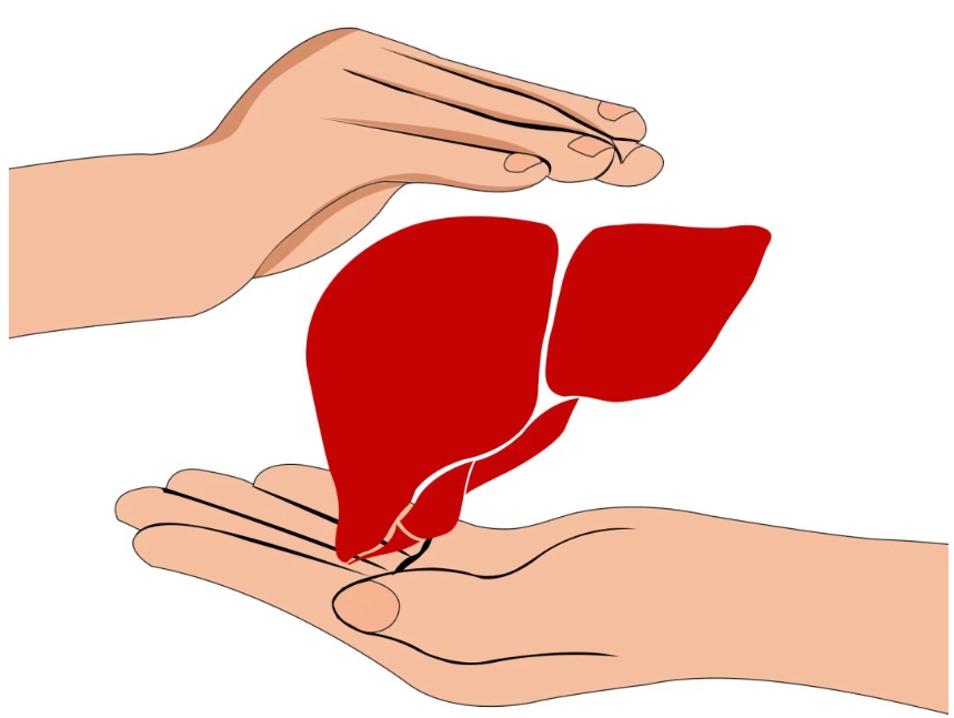 【双语】小昕话丙——感染丙肝多久能查出来？ شياۋشىننىڭ سۆزى ب تىپلىق جىگەر ياللۇغى بىلەن يۇقۇملانغاندا قانچىلىك ۋاقىتتا تە