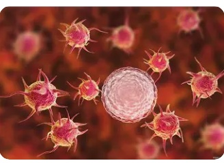 【双语】病毒载量低于检测限，可以停药了吗？ ۋىرۇسنىڭ مىقدارى تەكشۈرۈش چېكىدىن تۆۋەن بولسا، دورا توختىتىشقا بولامدۇ؟