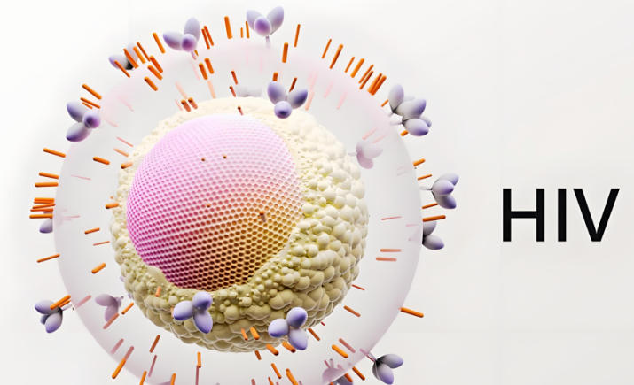 HIV感染是这样“攻破”你的免疫功能，导致严重后果的！