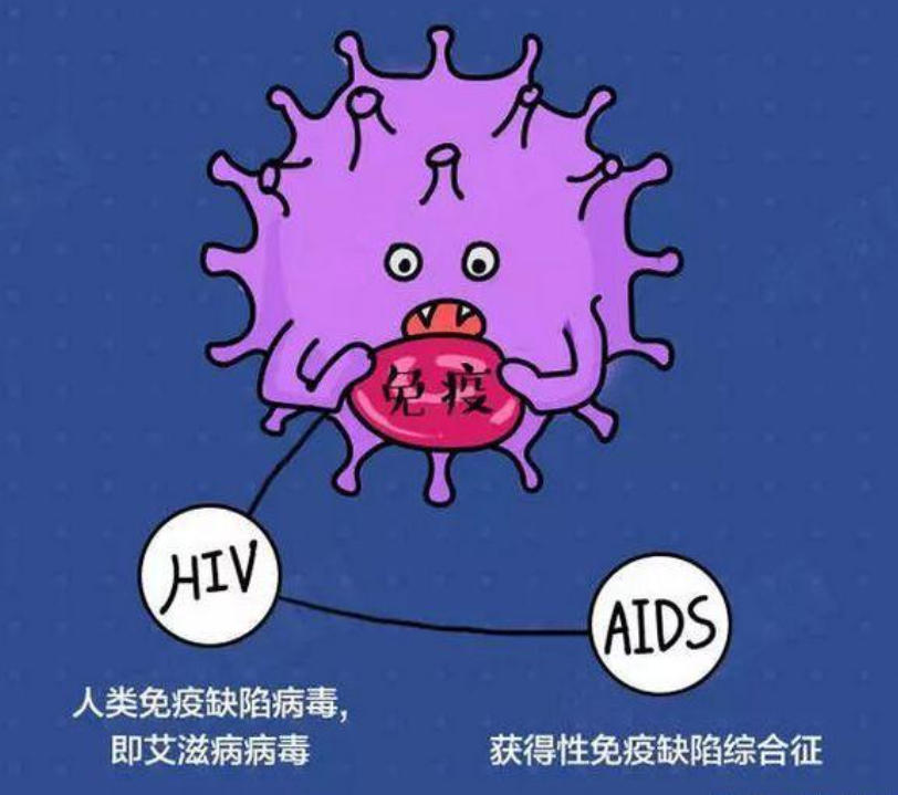 HIV 病毒在人体外能否存活?