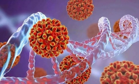 【双语】泡温泉、坐马桶会染上梅毒？这篇文章都给你讲清楚！ ئارشاڭغا چۈشكەندە، تەرەت تۇڭىغا ئولتۇرسا سىفلىس  ۋىروسىدىن  يۇقۇملۇنىپ