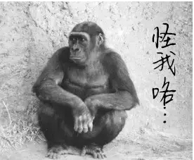QQ拼音截图20170515193930.jpg