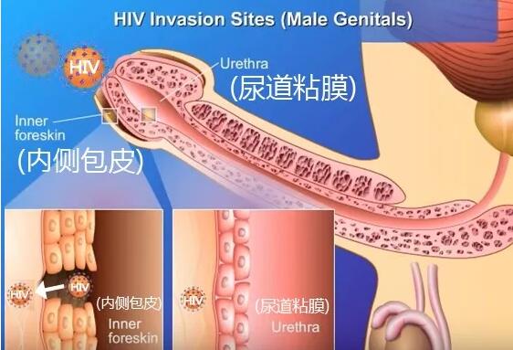 QQ截图20210103003841.jpg
