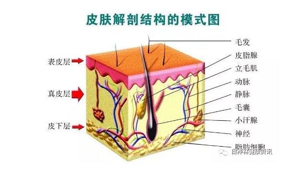 QQ截图20210116054341.jpg