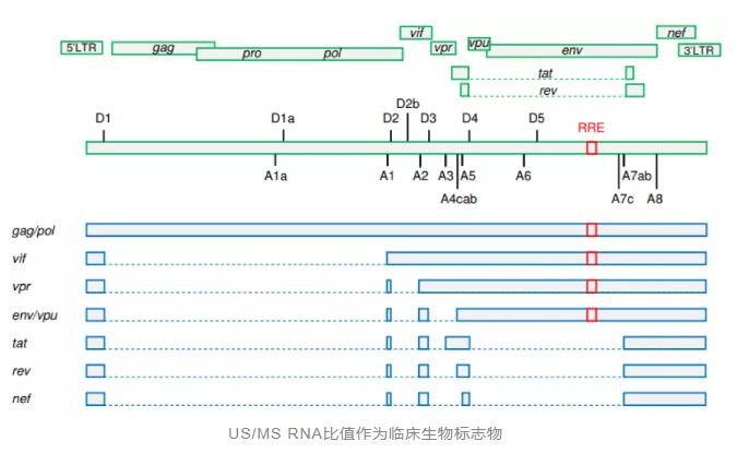 QQ截图20211111205930.jpg