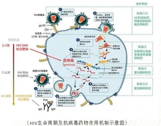 QQ截图20220712140209.jpg