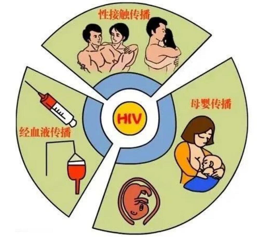 各种行为的HIV感染概率