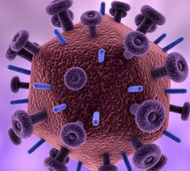 艾滋病超级感染：两次感染HIV病毒！