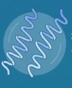 【自编】梅毒到底是什么病？一文读懂！