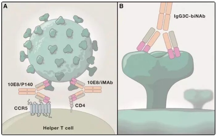 【双语】女HIV病患自然痊愈，男友和婴儿也是阴性 ئەيدىز كېسىلىگە گىرىپتار بولغان ئايال تەبىئىي ساقىيىپ كەتتى، ئوغۇل دوستى ۋە