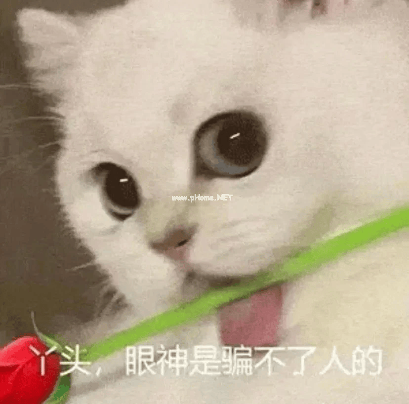 文章配图-1