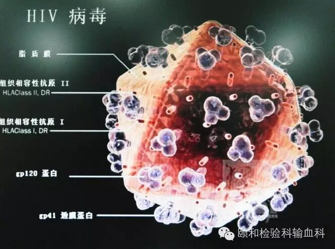 QQ截图20170213030613.jpg