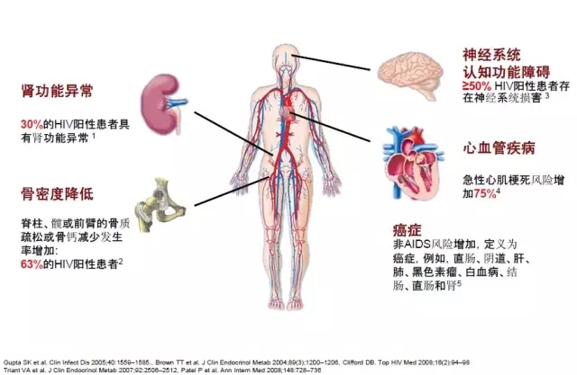 640.webp (13).jpg