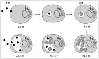 640 (8).webp.jpg