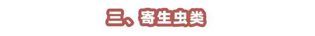 QQ截图20191224200833.jpg