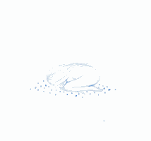 640 (4).gif