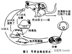 640 (3).webp (19).jpg