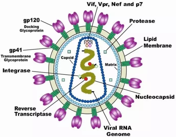 640.webp (39).jpg