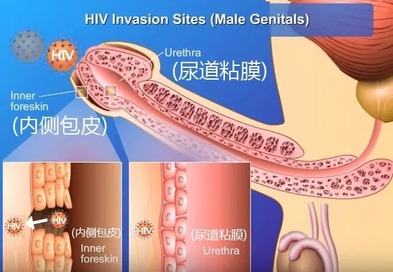 QQ截图20200121001902.jpg